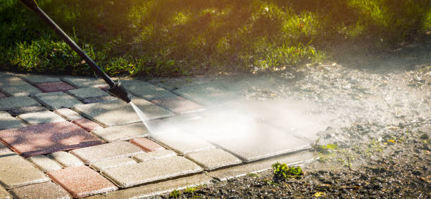 Solar Panel Cleaning in Coral Hills, MD